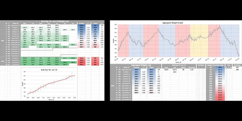The weight log spreadsheet — including my first bulk and an aggregate weight graph